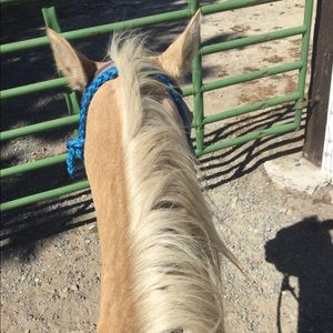 Meet your Posher, Rori